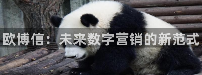 壹号大舞台：欧博信：未来数字营销的新范式