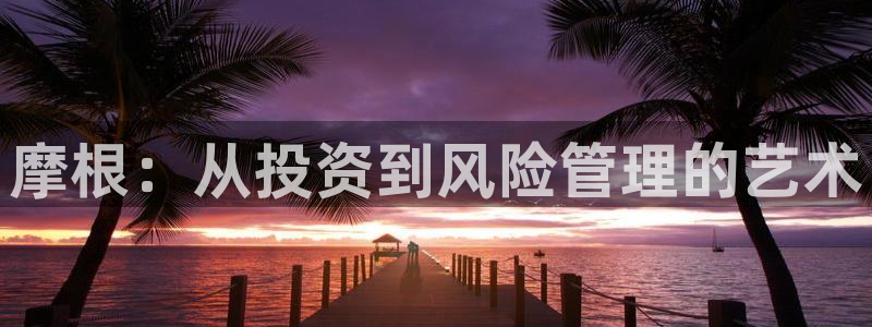 天富平台网站：摩根：从投资到风险管理的艺术