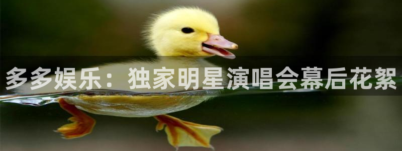 天富平台加拿大下载：多多娱乐：独家明星演唱会幕后花絮