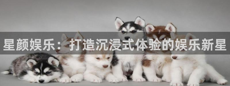天富平台ccmpc：星颜娱乐：打造沉浸式体验的娱乐新星