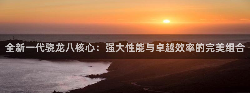 天富平台平台管网入口：全新一代骁龙八核心：强大性能与卓越效率的完美组合