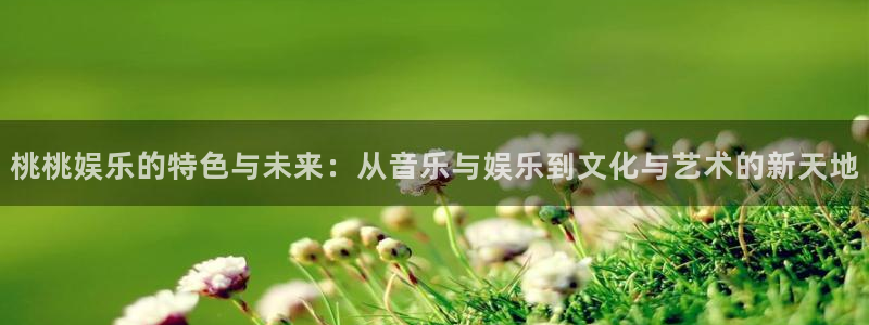 天富平台电子游戏：桃桃娱乐的特色与未来：从音乐与娱乐到文化与艺术的新天地