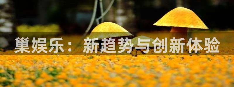 天富平台平台官网版最新：巢娱乐：新趋势与创新体验