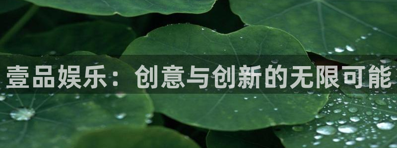 天富平台电子游戏官网：壹品娱乐：创意与创新的无限可能