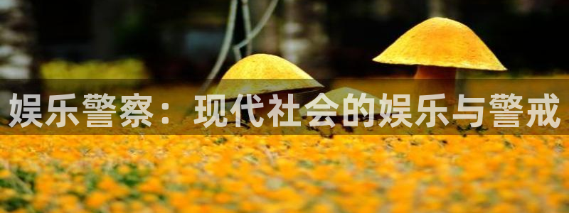 天富平台注册链接入口：娱乐警察：现代社会的娱乐与警戒