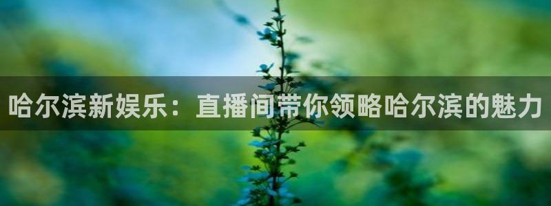 壹号app下载：哈尔滨新娱乐：直播间带你领略哈尔滨的魅力