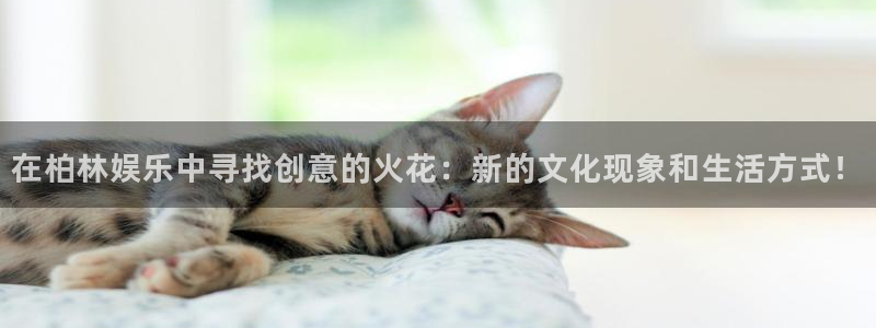 天富平台注册网站app：在柏林娱乐中寻找创意的火花：新的文化现象和生活方式！