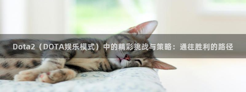 天富平台下载：Dota2（DOTA娱乐模式）中的精彩挑战与策略：通往胜利的路径