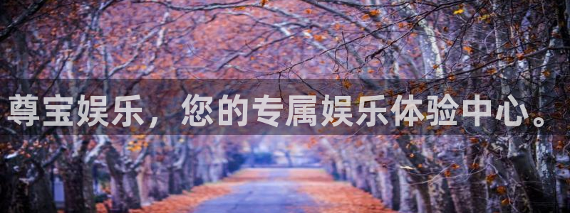 天富平台注册官网入口：尊宝娱乐，您的专属娱乐体验中心。