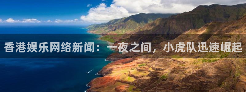 天富平台app：香港娱乐网络新闻：一夜之间，小虎队迅速崛起